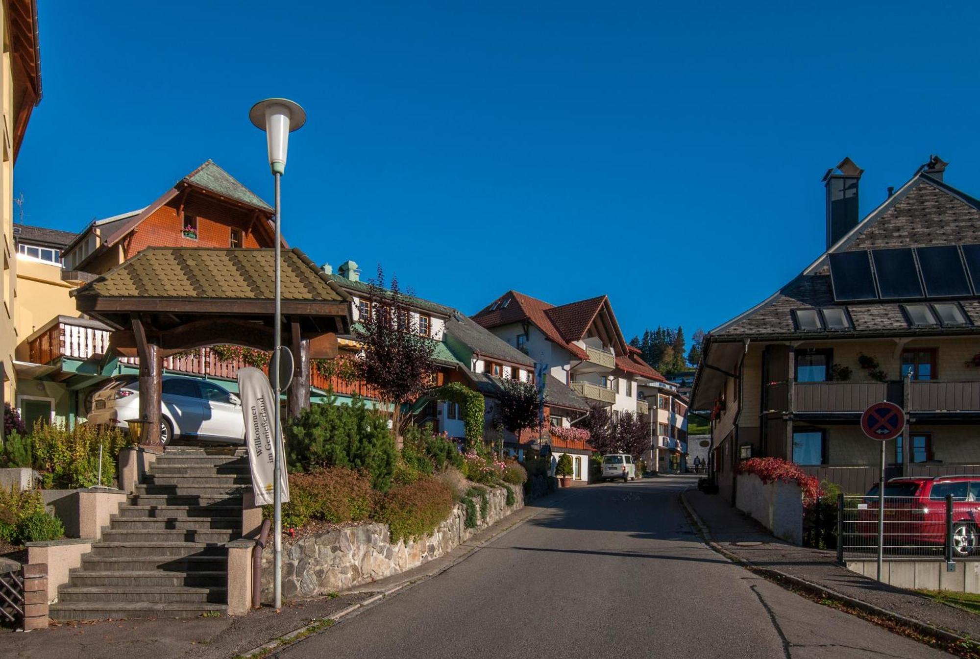 Apartment 06 - Ferienresidenz Roseneck, 2 Schlafzimmer, Mit Schwimmbad In Todtnauberg Bei Feldberg Kültér fotó