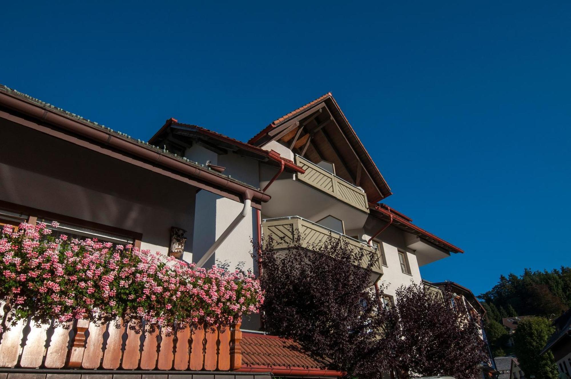 Apartment 06 - Ferienresidenz Roseneck, 2 Schlafzimmer, Mit Schwimmbad In Todtnauberg Bei Feldberg Kültér fotó