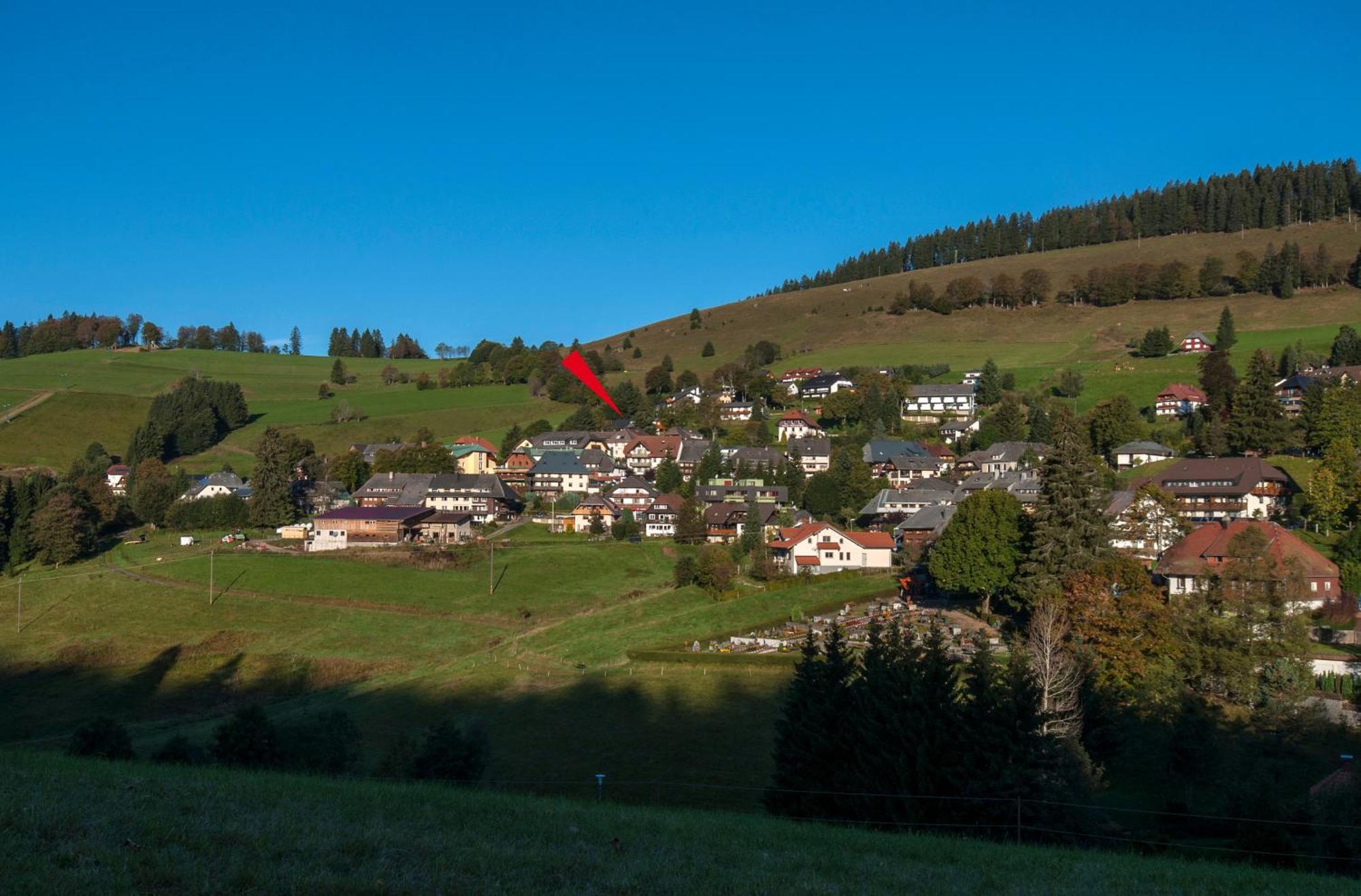 Apartment 06 - Ferienresidenz Roseneck, 2 Schlafzimmer, Mit Schwimmbad In Todtnauberg Bei Feldberg Kültér fotó